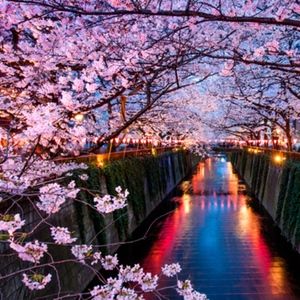 Meet your Posher, Paola